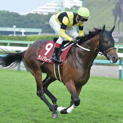 馬
