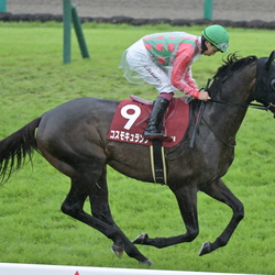 馬